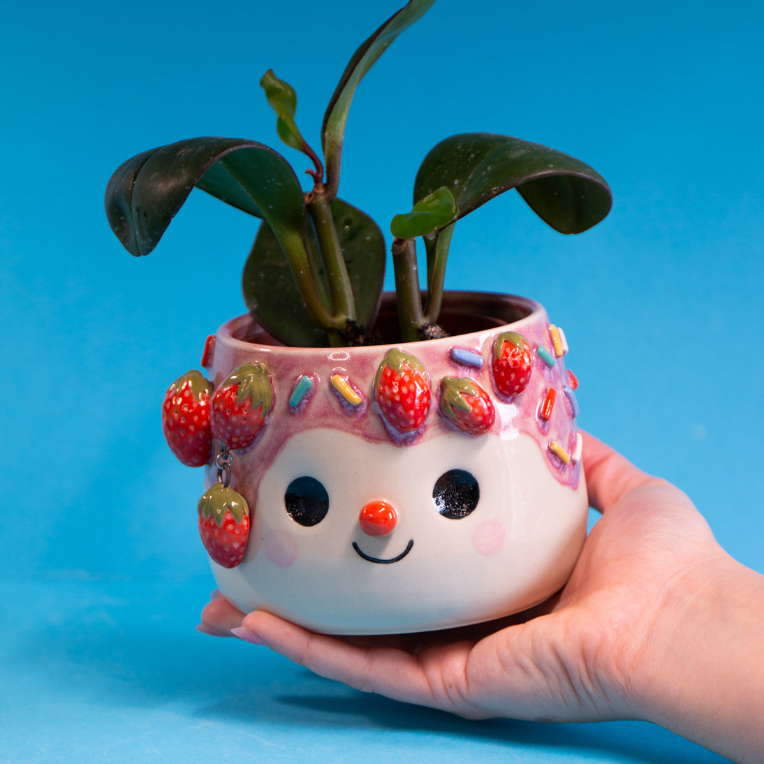 Fraise Suspendue & sprinkles - Pot de fleur