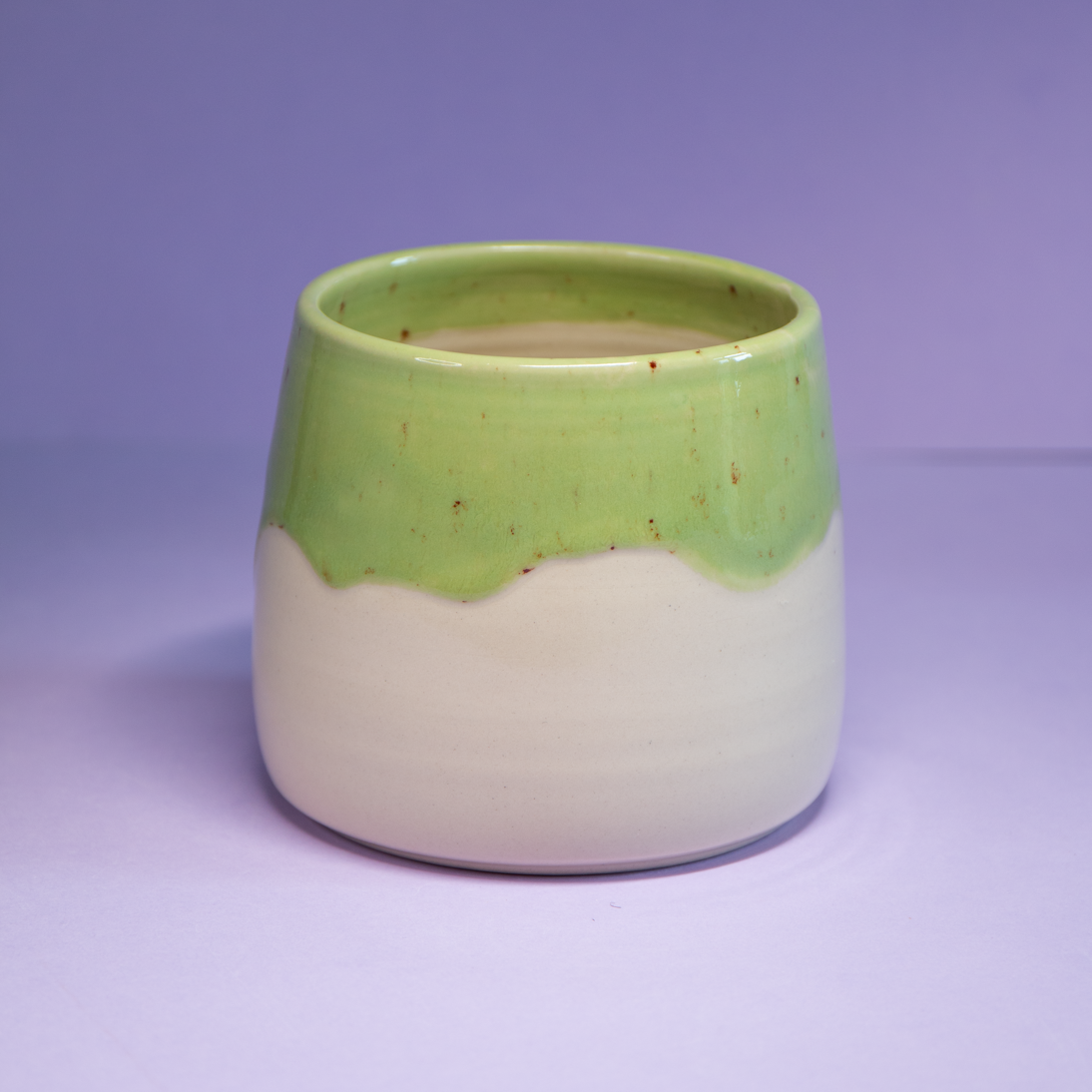 Feuillage 03 - Pot de fleur