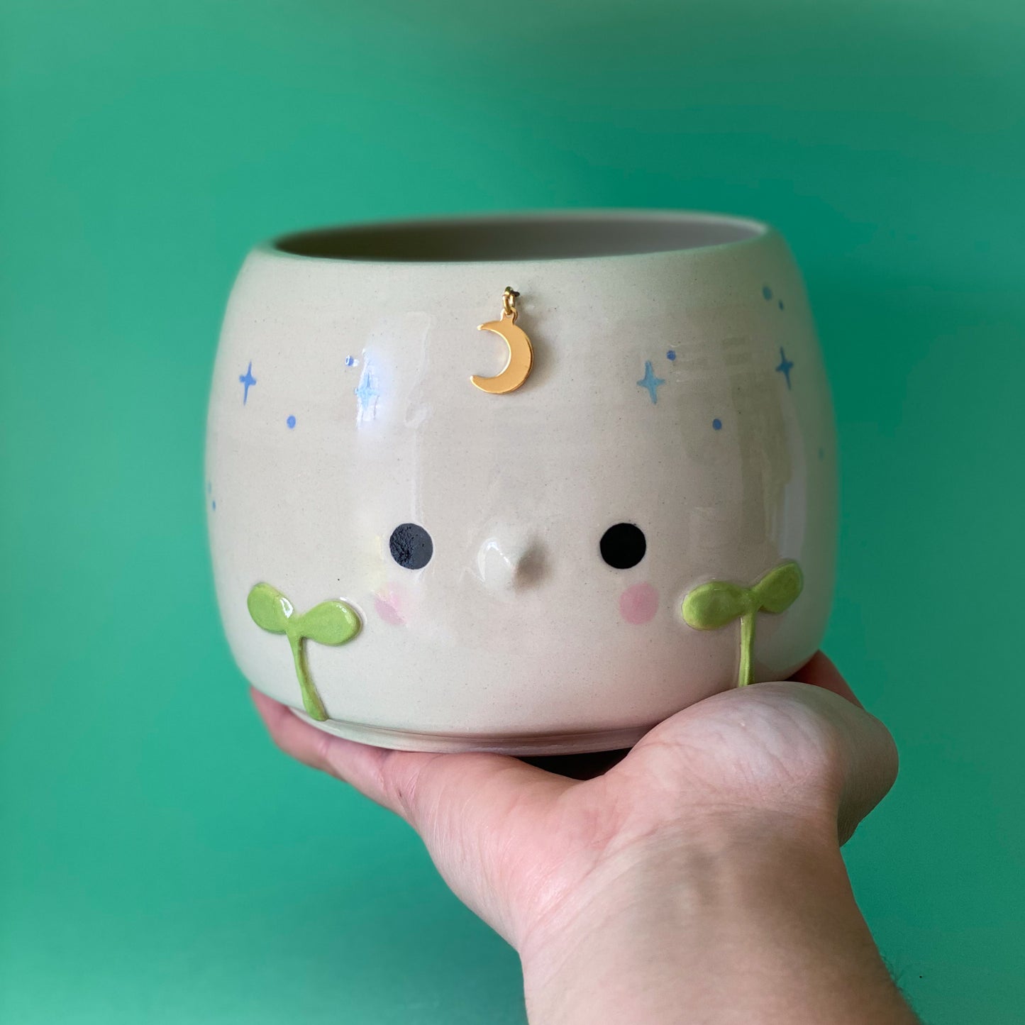 Jeune Pousse timide - pot de fleur