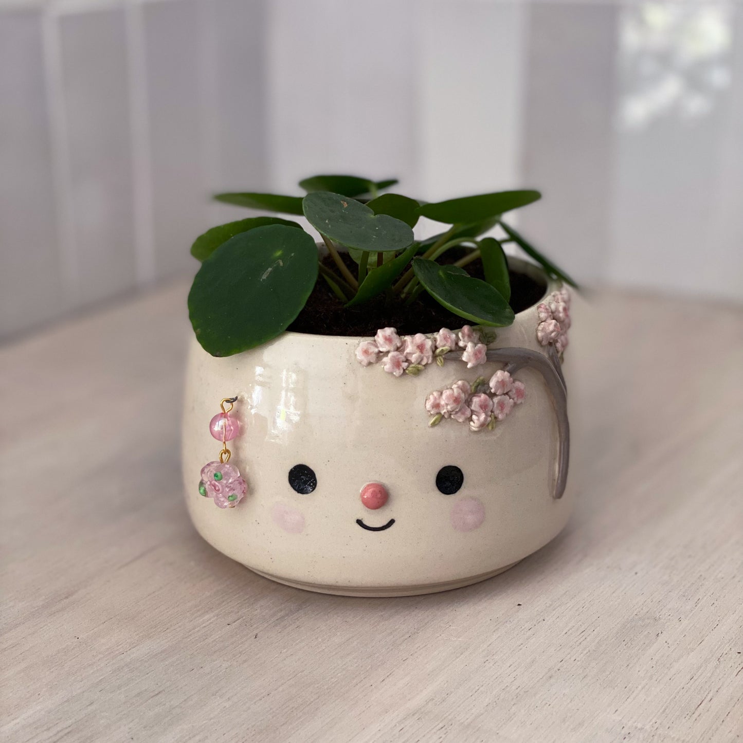 cerisier - petit pot