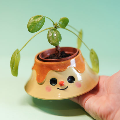 Pot Pudding 1 - Pot de fleur percé