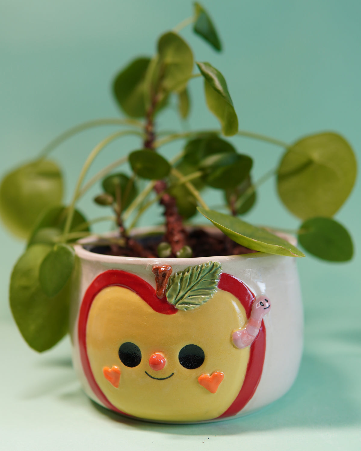 Pomme pote - grand Pot de fleur percé