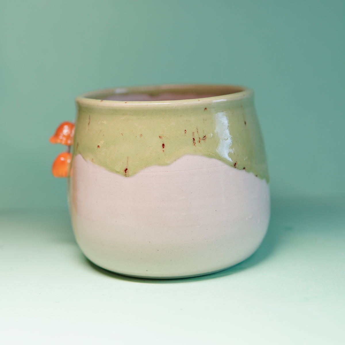 Tanuki forestier - Grand pot de fleur drainé