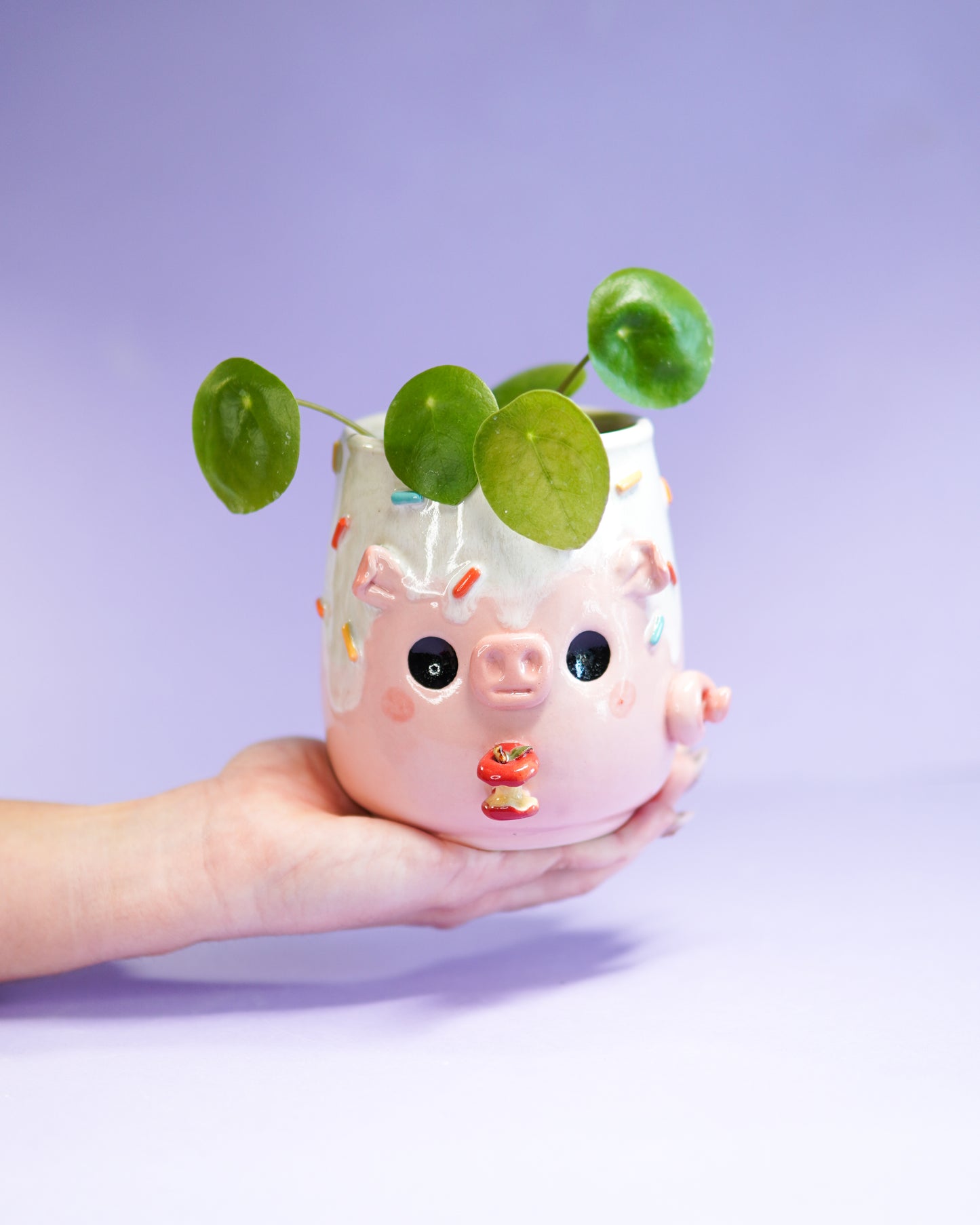 Cochon gourmand  - Pot de fleur drainé