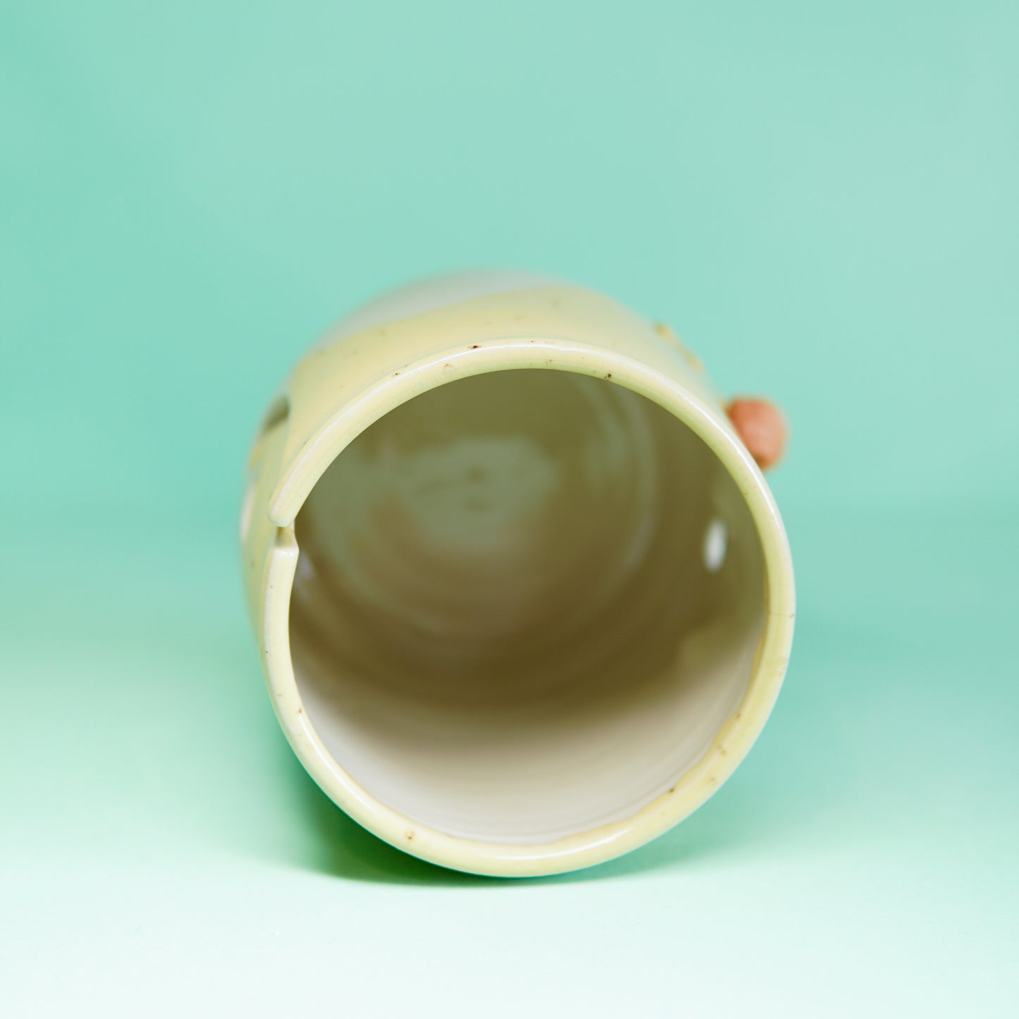 Assistant canard - dérouleur de pelote