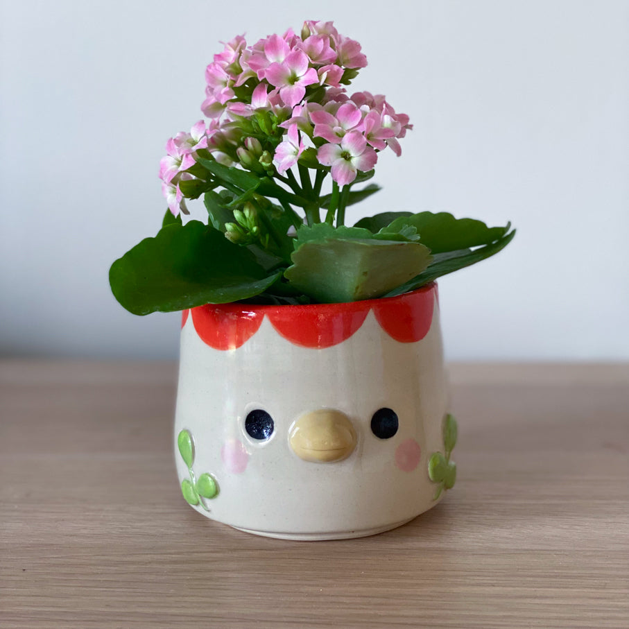 Cocotte - pot de fleur