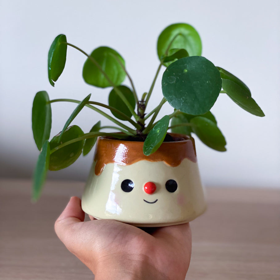 Pudding 02 - mini Pot de fleur