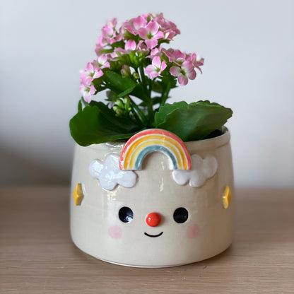 Rainbow - Pot de fleur