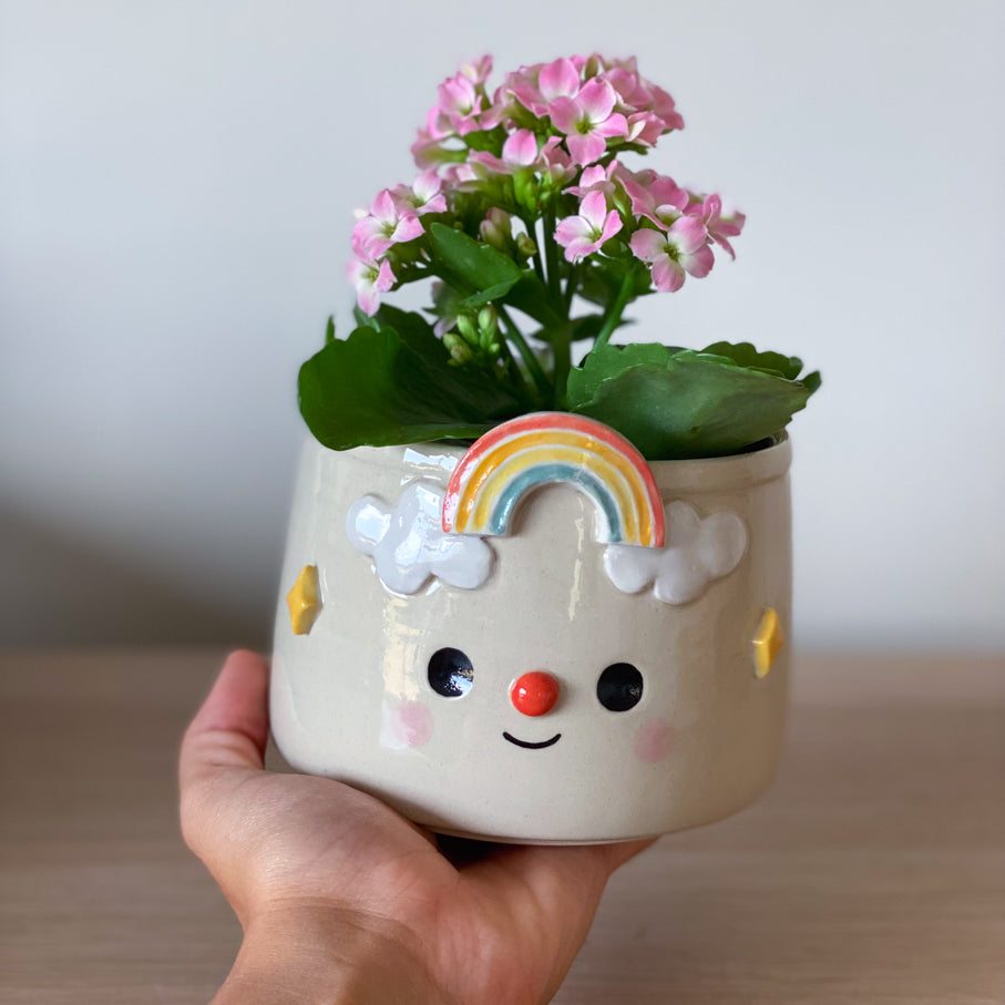 Rainbow - Pot de fleur