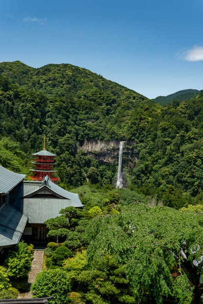 Kumano Kodo - Tasse 550 ml