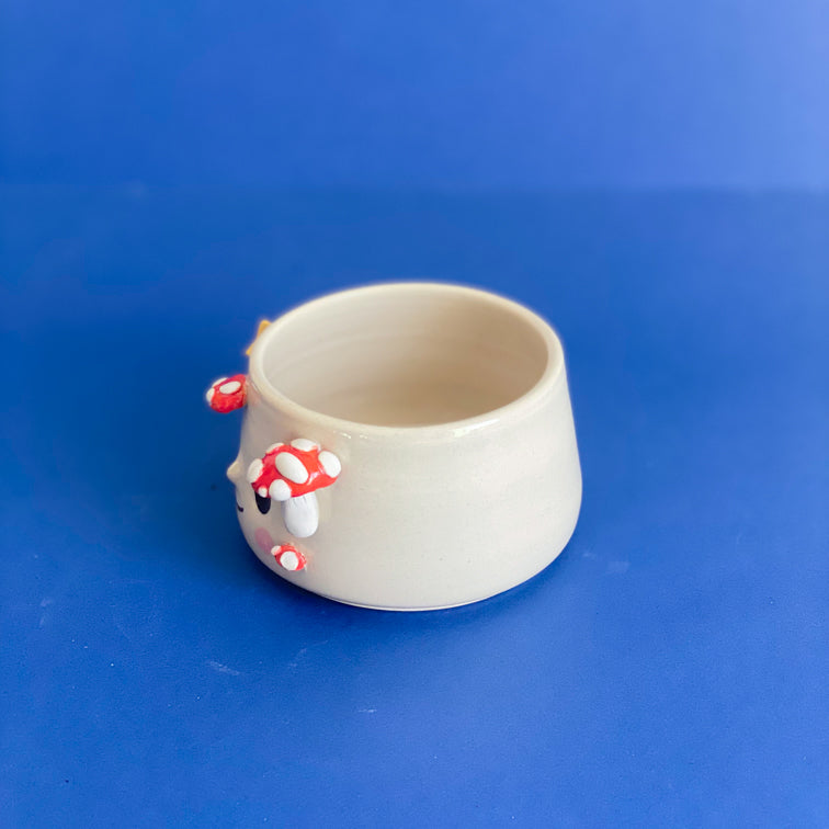 Champignons étoilés - Petit Pot de fleur