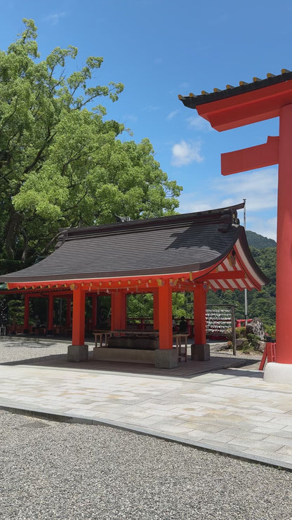 Kumano Kodo - Tasse 550 ml